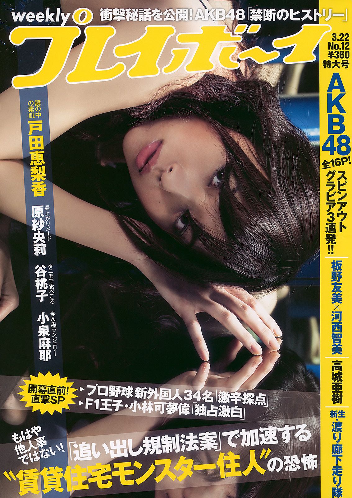 [Weekly Playboy] 2010年No.12 写真杂志