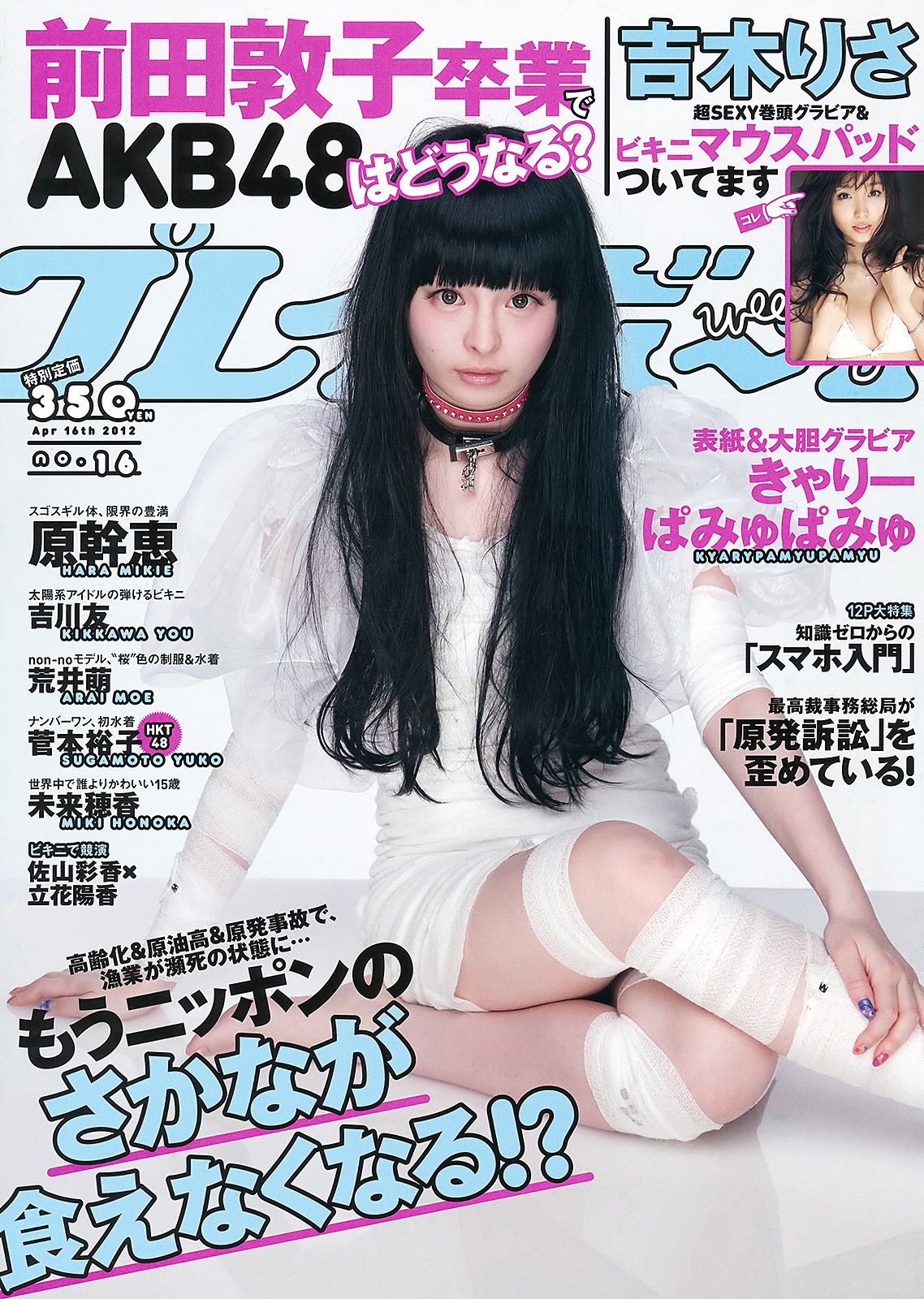 [Weekly Playboy] 2012年No.16 写真杂志